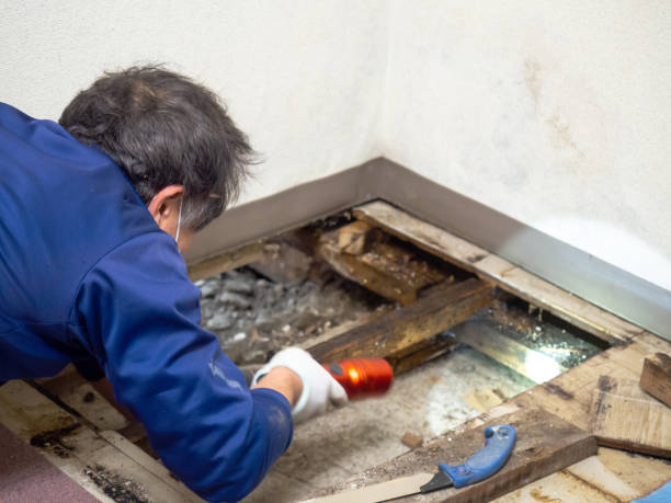 Best Crawl Space Mold Removal  in Oronoque, CT
