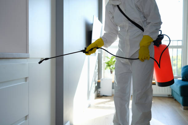 Best Professional Mold Removal  in Oronoque, CT